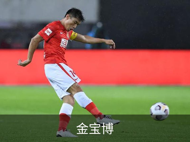 金宝博简介
